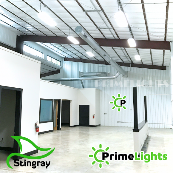 4ft. LED 4 Lamp T8 STINGRAY® GEN 2.0: Brighter, Most Efficient, Sleeker - 80W Clear LEDs - Motion Activated Shop Light 14,400 lumens