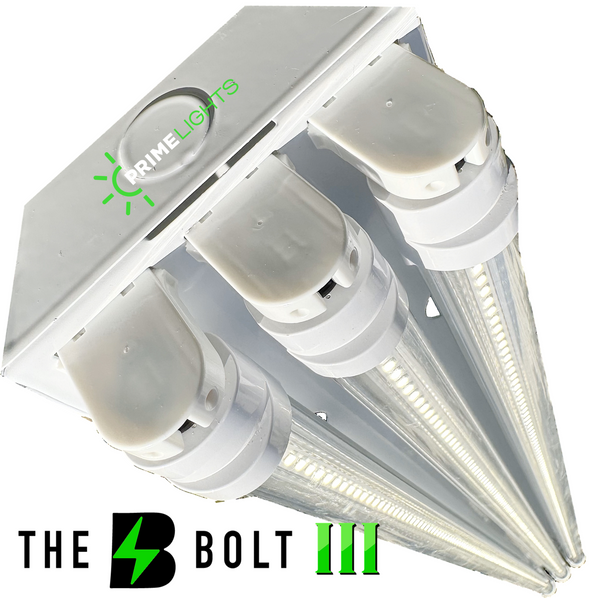 LED 3 Lamp T8 Bolt GEN 2.0: Brighter, Most Efficient, Sleeker - Clear ...