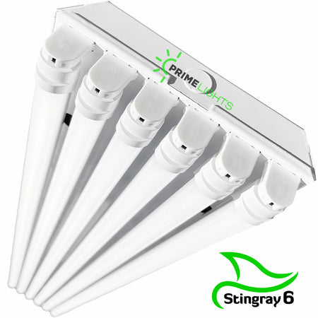 LED 6 Lamp T8 STINGRAY 6XL GEN 2.0: Brighter, Most Efficient, Sleeker -  Frosted LEDs